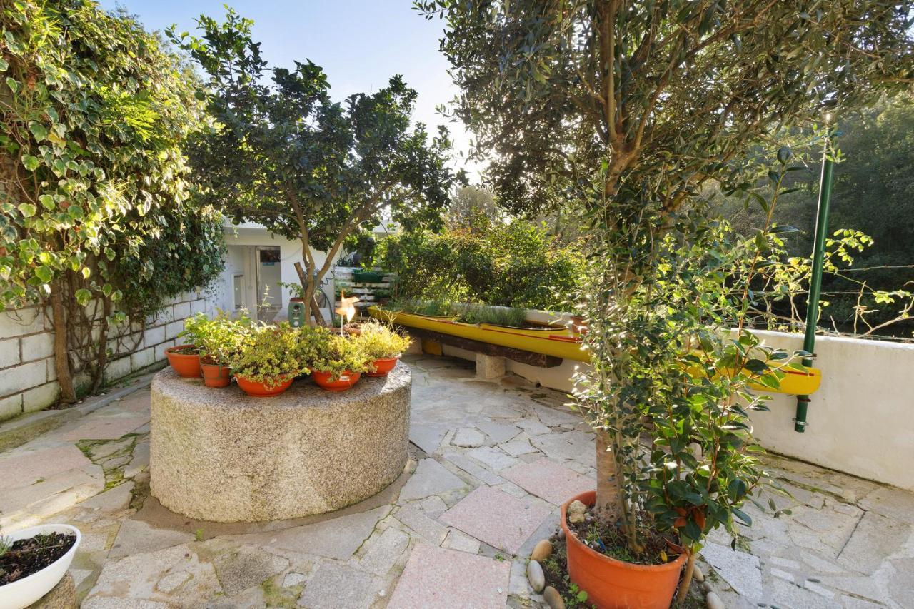 Casa Azenha Branca Villa Esposende Dış mekan fotoğraf